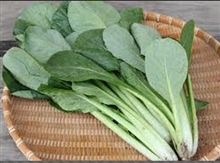 小松菜の保存方法と消費期限