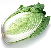 白菜の保存方法と消費期限